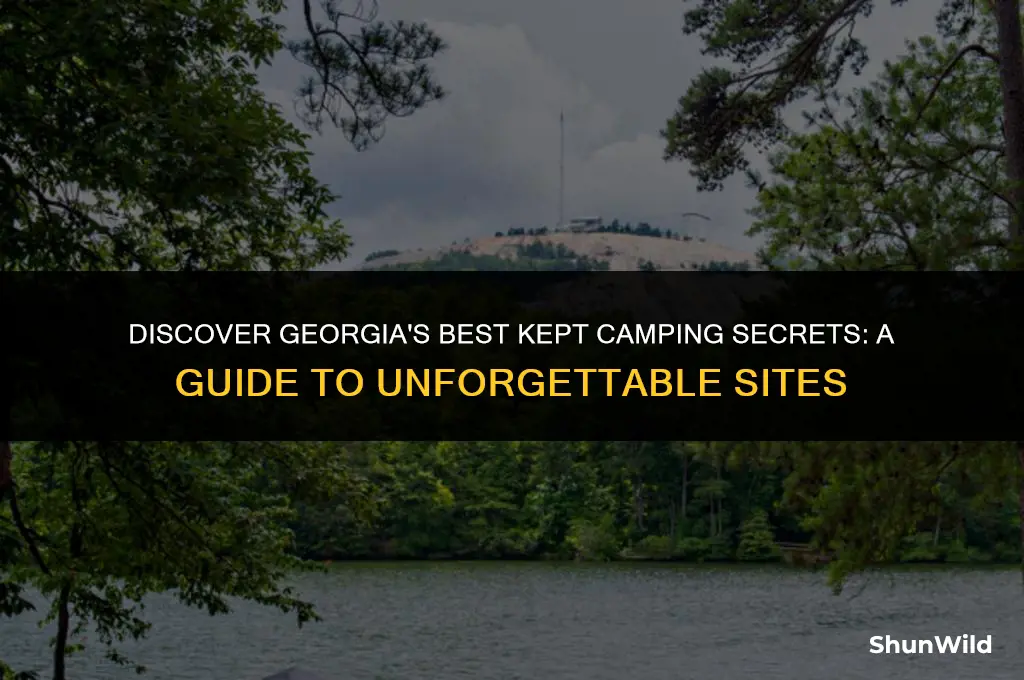 where to camp georgia
