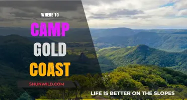 Discover the Best Camping Spots on the Gold Coast