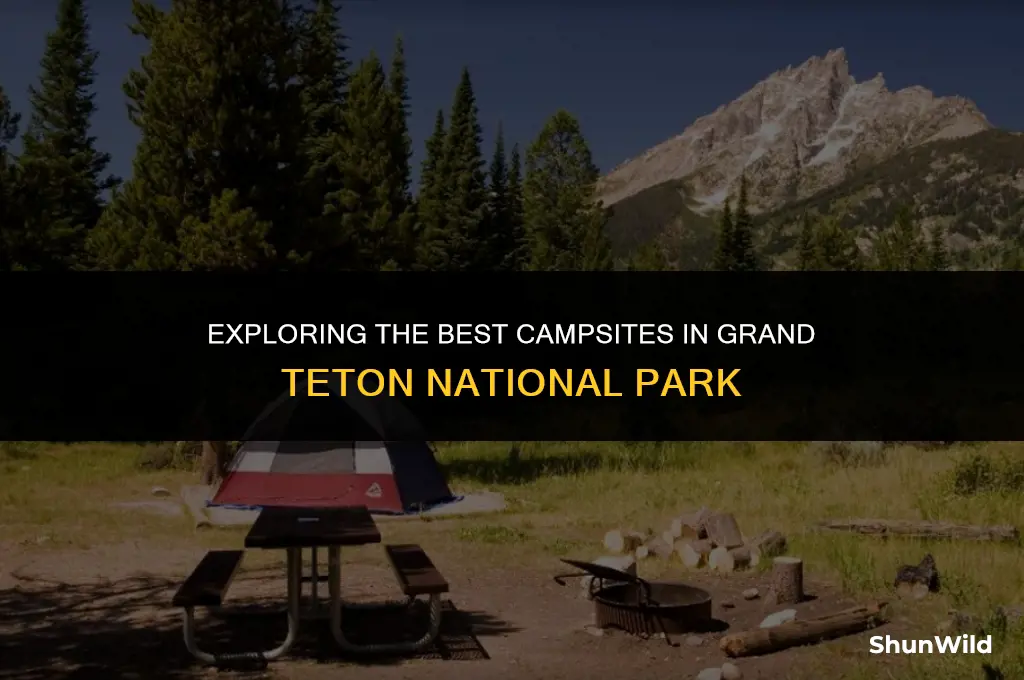 where to camp grand tetons