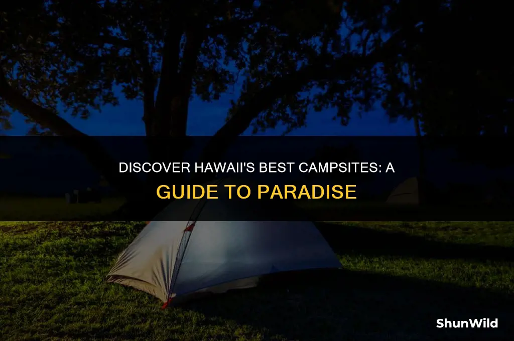 where to camp hawaii