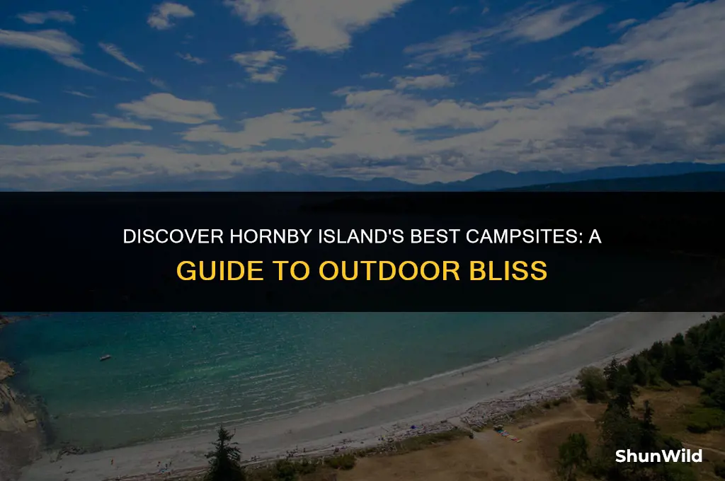 where to camp hornby island