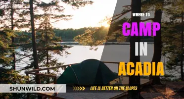 Discover the Best Campsites in Acadia National Park: A Guide