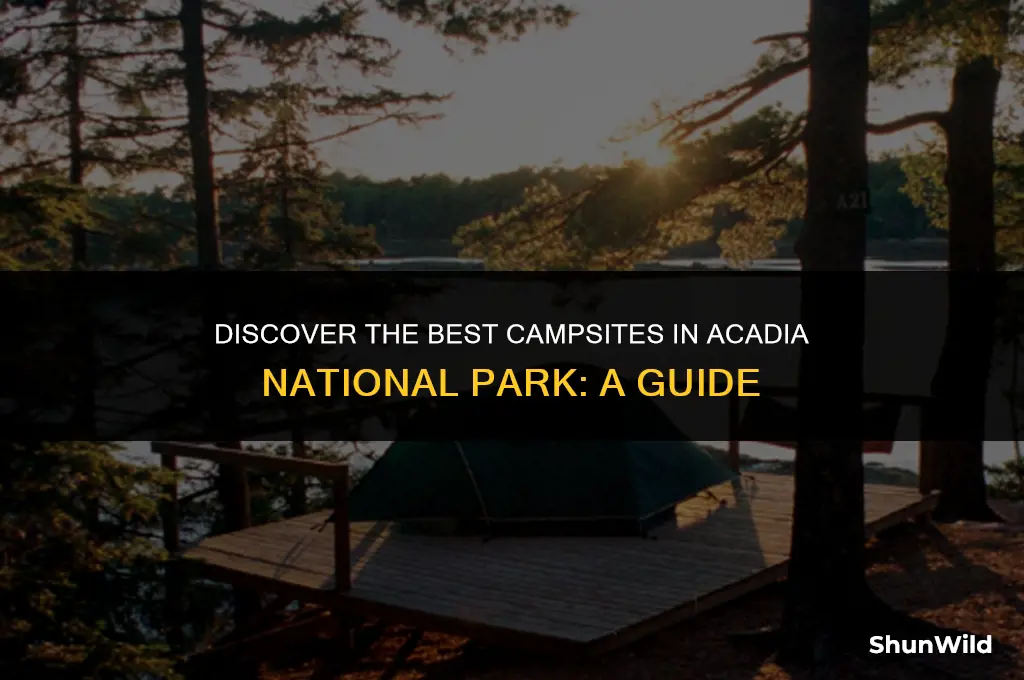 where to camp in acadia