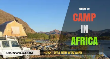 Exploring Africa's Wilderness: Top Camping Spots Unveiled