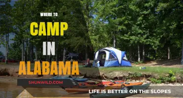 Discover Alabama's Best Kept Camping Secrets: A Guide to Top Spots