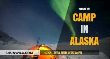 Discover Alaska's Wilderness: Top Campsites for an Unforgettable Adventure