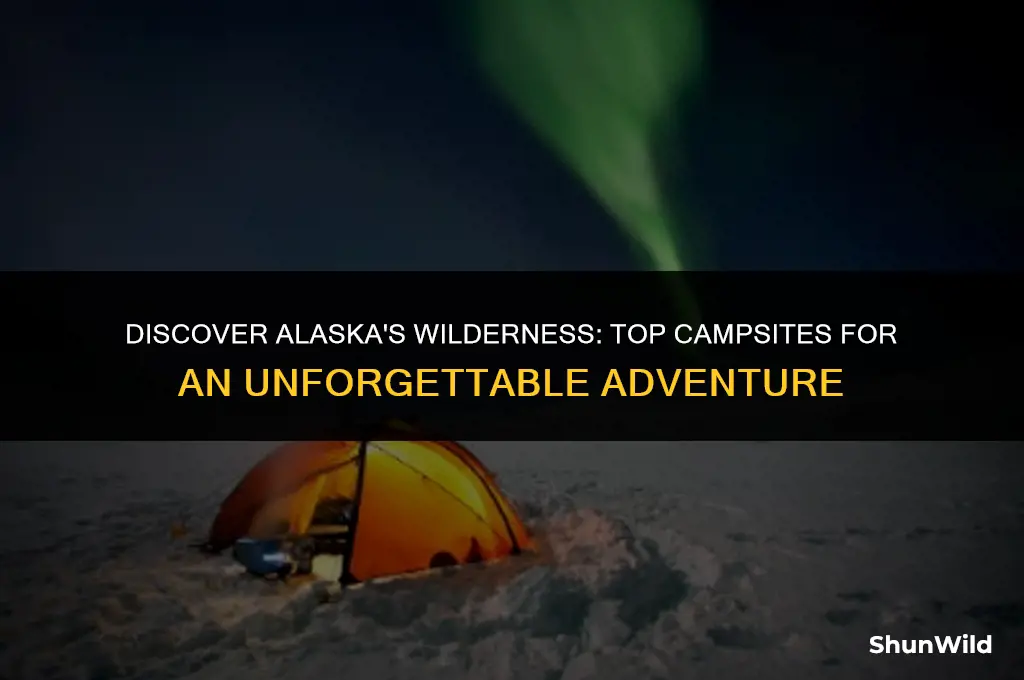 where to camp in alaska