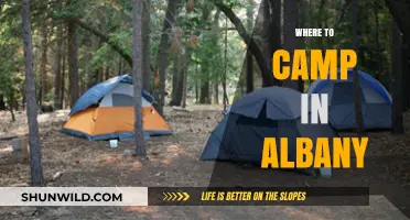 Discover Albany's Best Campsites: A Guide to Outdoor Adventures