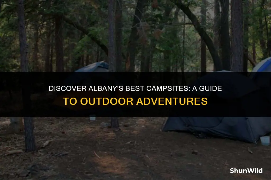 where to camp in albany