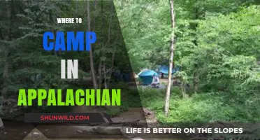 Exploring the Great Outdoors: Top Camping Spots in the Appalachian Mountains
