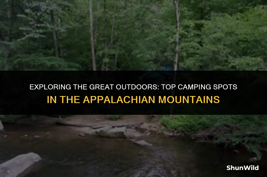 where to camp in appalachian