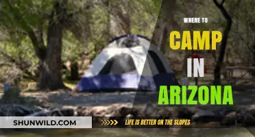 Discover Arizona's Best Camping Spots: Top Locations for Outdoor Adventures