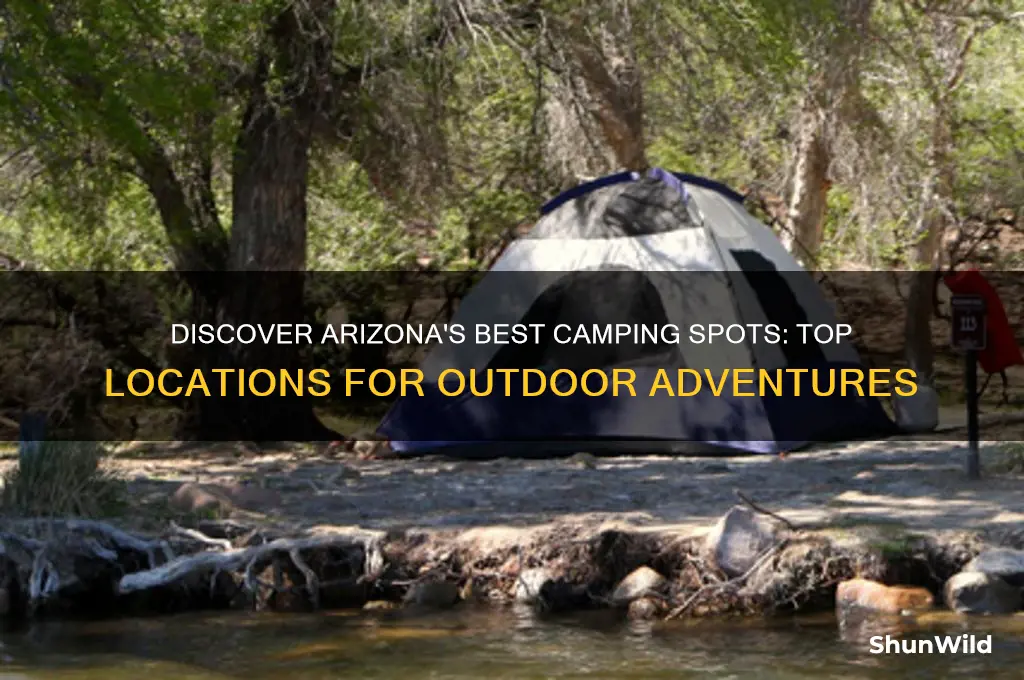 where to camp in arizona
