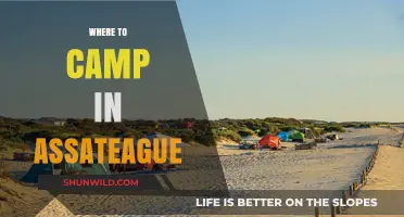 Discover the Best Campsites in Assateague: A Guide to Wild and Scenic Spots