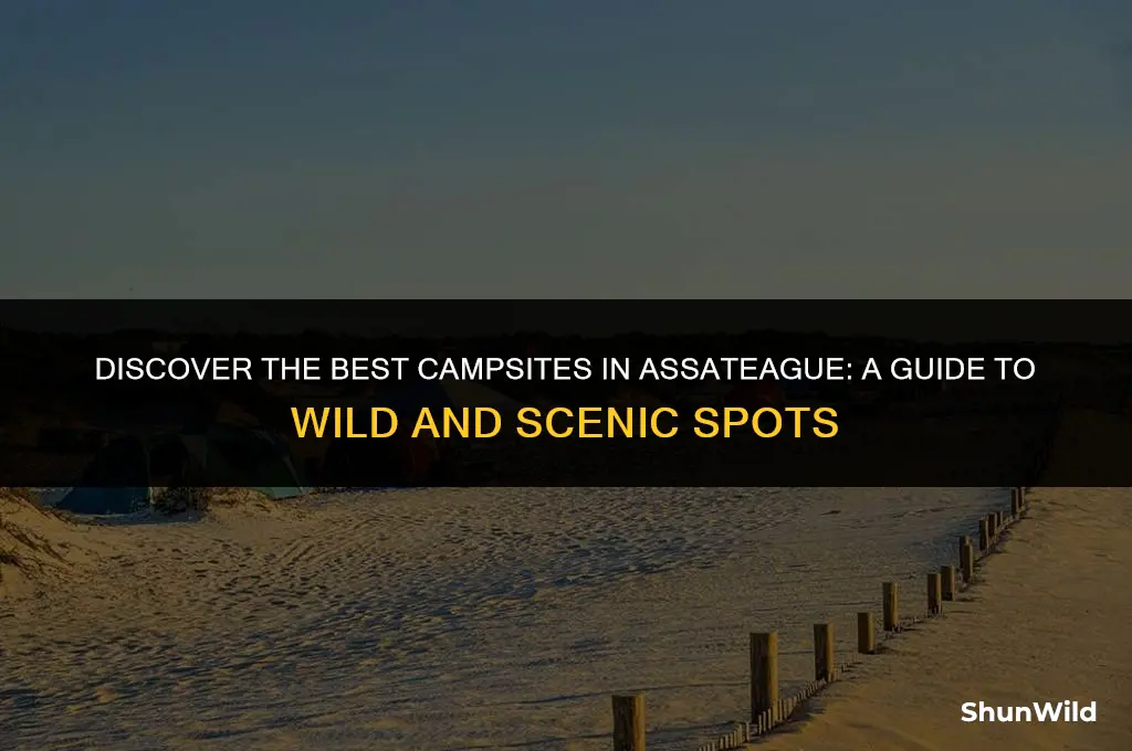 where to camp in assateague