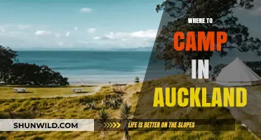 Discover Auckland's Best Kept Camping Secrets: A Local's Guide