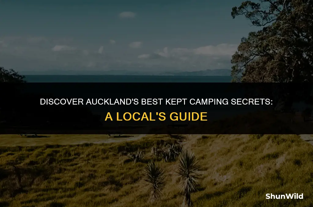 where to camp in auckland