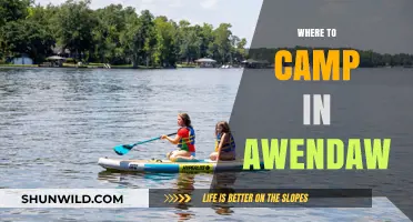Discover the Best Campsites in Awendaw: A Guide to Outdoor Bliss