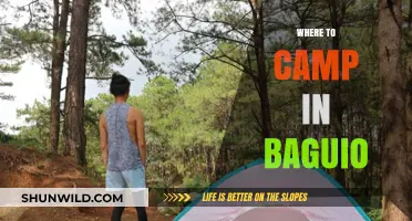 Discover the Best Camping Spots in Baguio: A Guide to Nature's Retreats