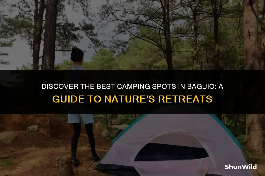 where to camp in baguio