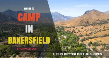 Discover the Best Campsites in Bakersfield: A Guide for Outdoor Enthusiasts