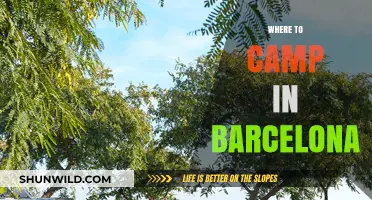 Discover Barcelona's Best Kept Camping Secrets: A Local's Guide