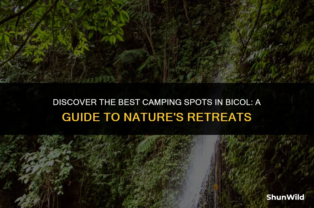 where to camp in bicol
