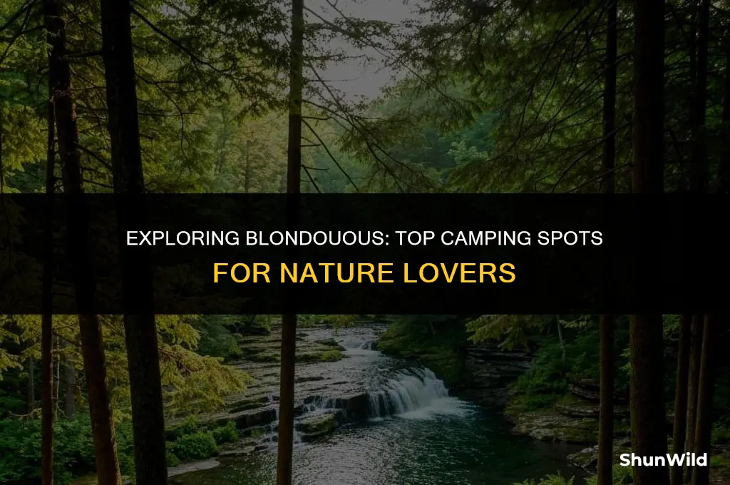 where to camp in blonduous