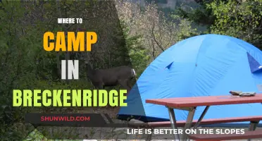 Discover the Best Campsites in Breckenridge: A Guide to Outdoor Bliss