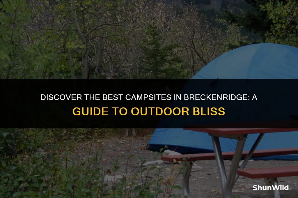 where to camp in breckenridge