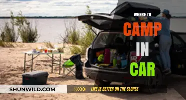 Exploring the Great Outdoors: Top Spots for Car Camping Adventures