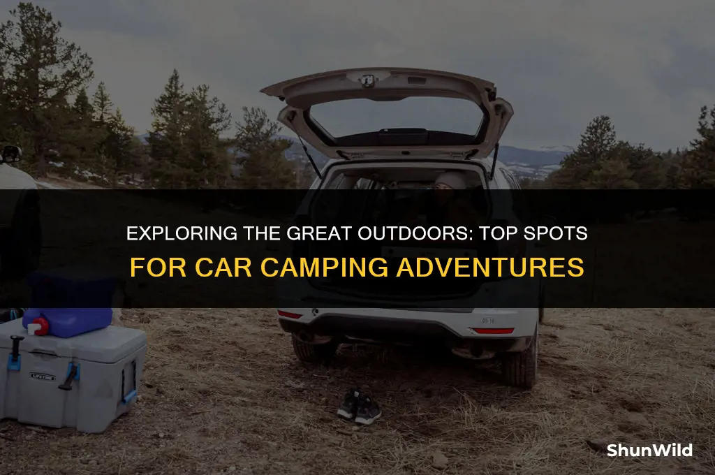 where to camp in car