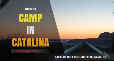 Discover the Best Campsites in Catalina: A Guide to Outdoor Bliss