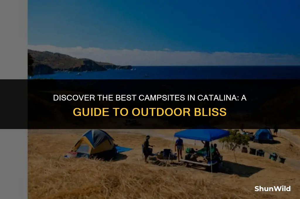 where to camp in catalina