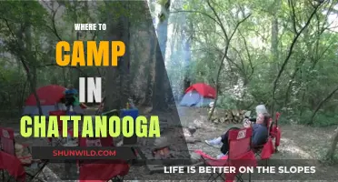 Discover the Best Campsites in Chattanooga: A Guide to Outdoor Bliss