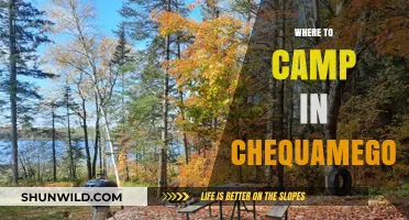 Discover the Best Campsites in Chequamegon: A Guide to Nature's Retreats