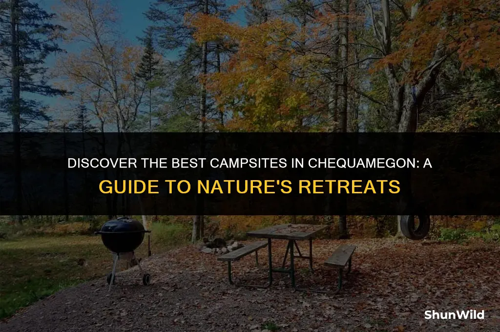 where to camp in chequamegon