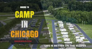 Discover Chicago's Best Campsites: A Guide to Urban Camping