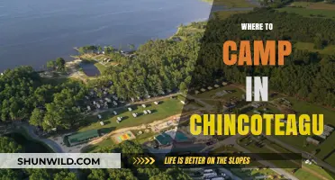 Discover the Best Campsites in Chincoteague: A Guide to Your Next Adventure