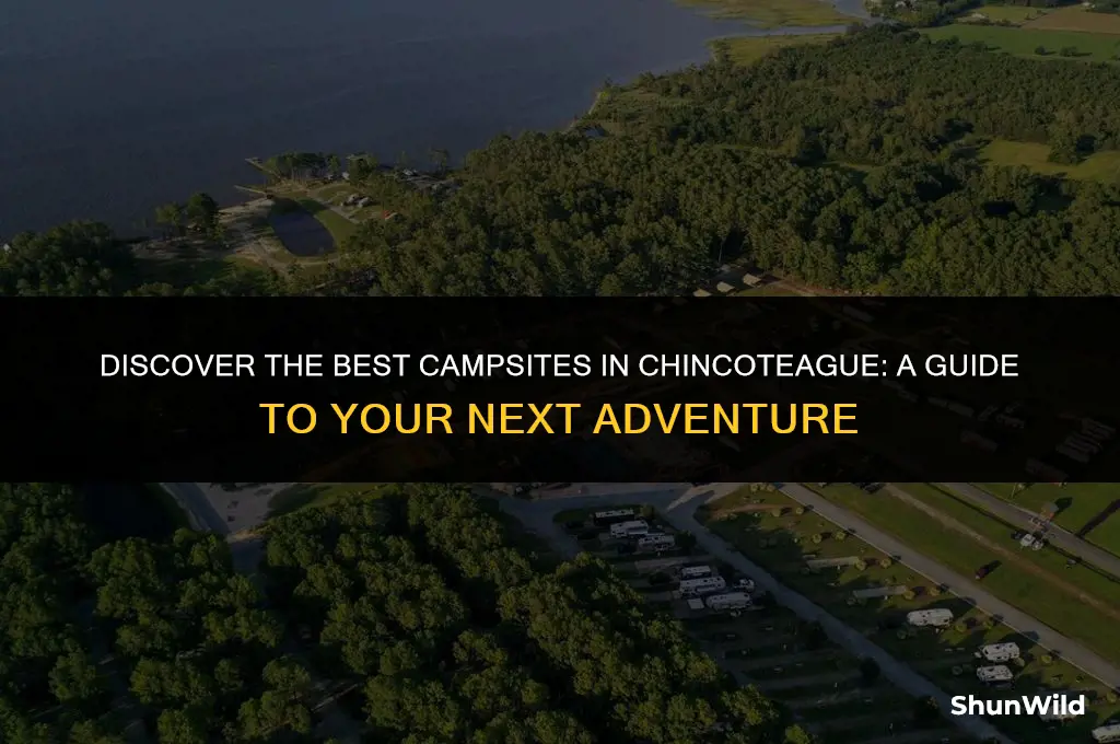 where to camp in chincoteague