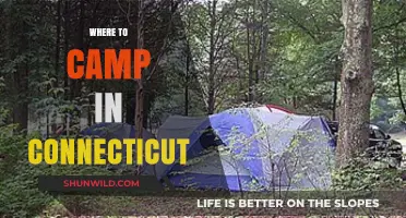 Discover Connecticut's Best Campsites: A Guide to Outdoor Adventures