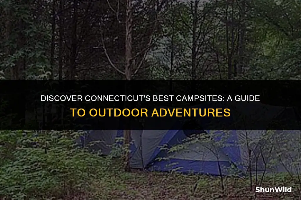 where to camp in connecticut