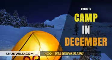 Winter Wonderland: Top Campsites to Embrace the Chill in December