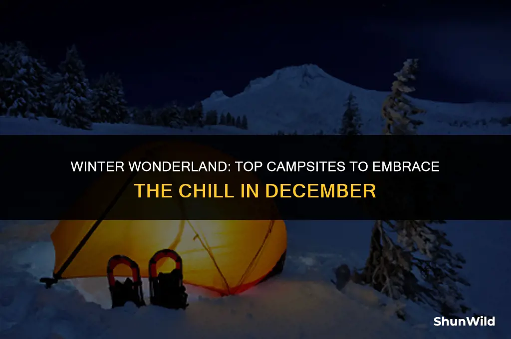 where to camp in december