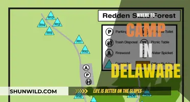 Discover Delaware's Best Campsites: A Guide to Outdoor Adventures