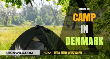 Discover Denmark's Best Kept Camping Secrets: A Local's Guide