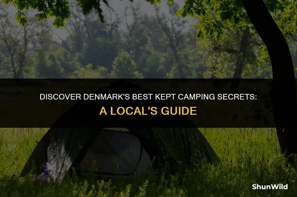 where to camp in denmark
