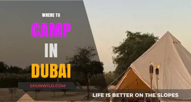 Discover the Best Camping Spots in Dubai: A Guide to Outdoor Adventures