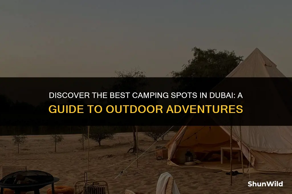 where to camp in dubai