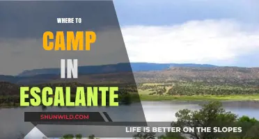 Discovering Escalante: Top Campsites for an Unforgettable Adventure
